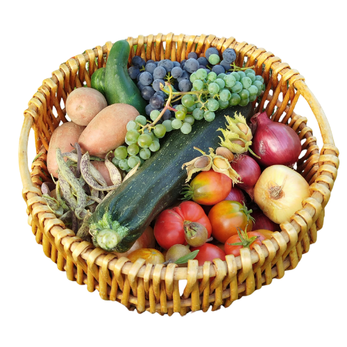 Basket of Fresh Harvested Vegetables and Fruits
