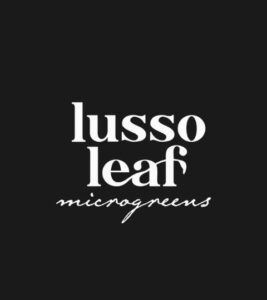 lusso leaf